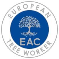 European tree worker in Magdeburg